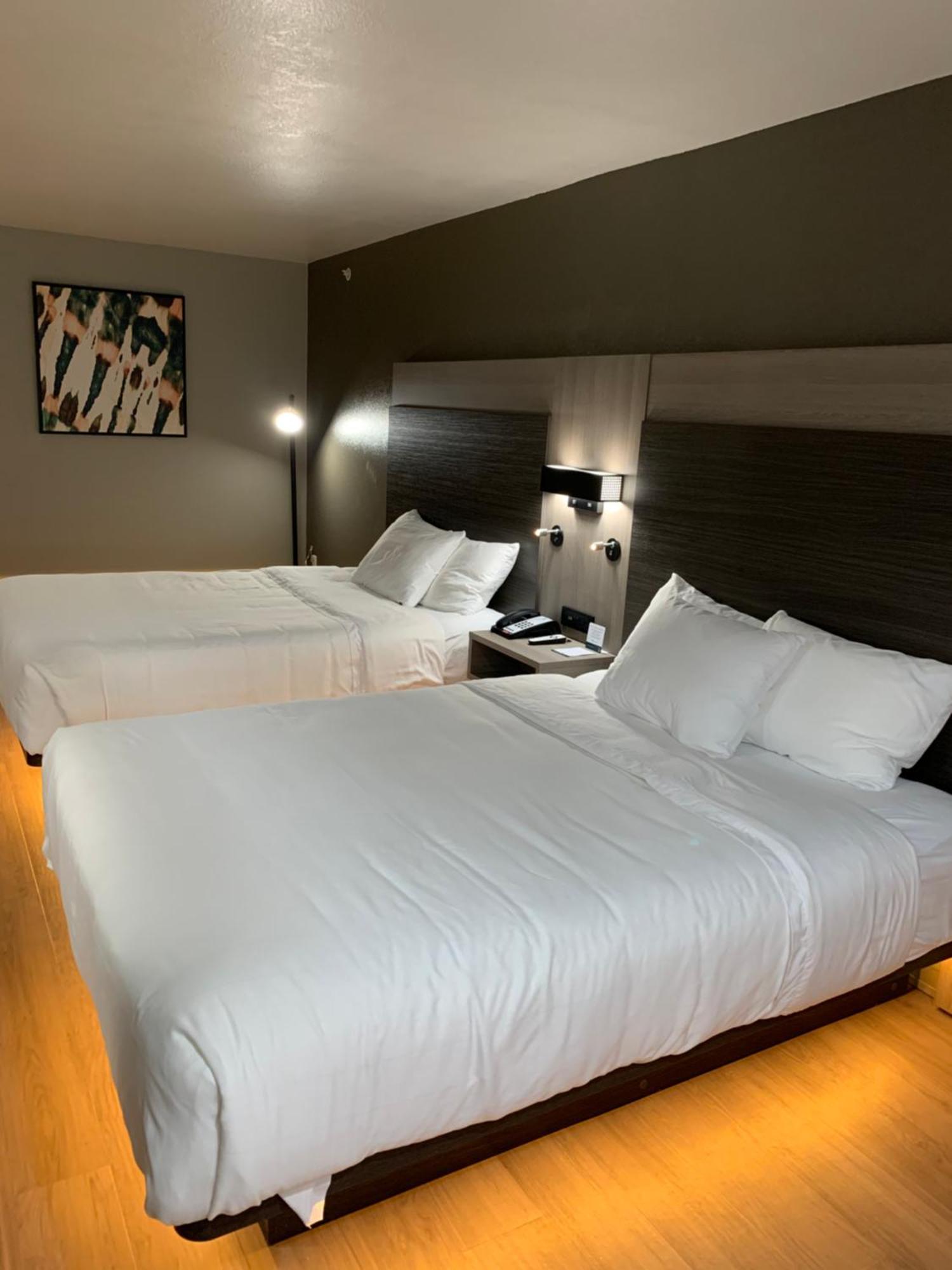 Quality Inn & Suites North Mesquite I-30 Quarto foto